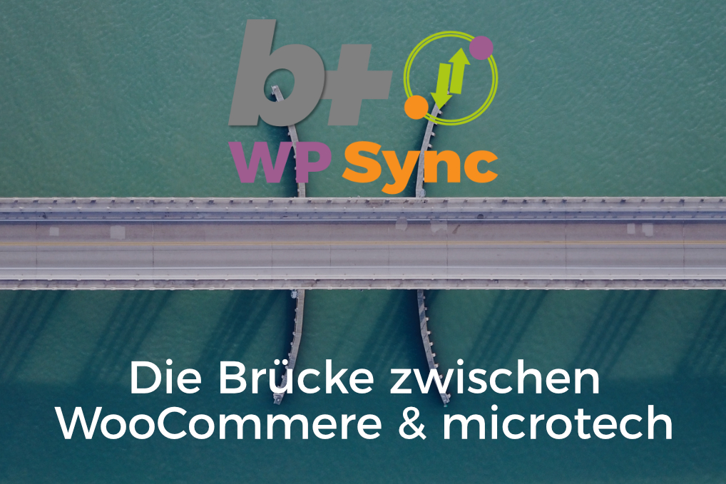 Wordpress Plugin - b+ WP sync Authenticator